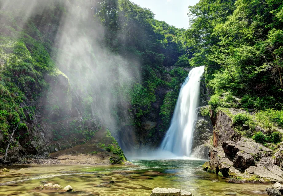 仙台七夕まつり