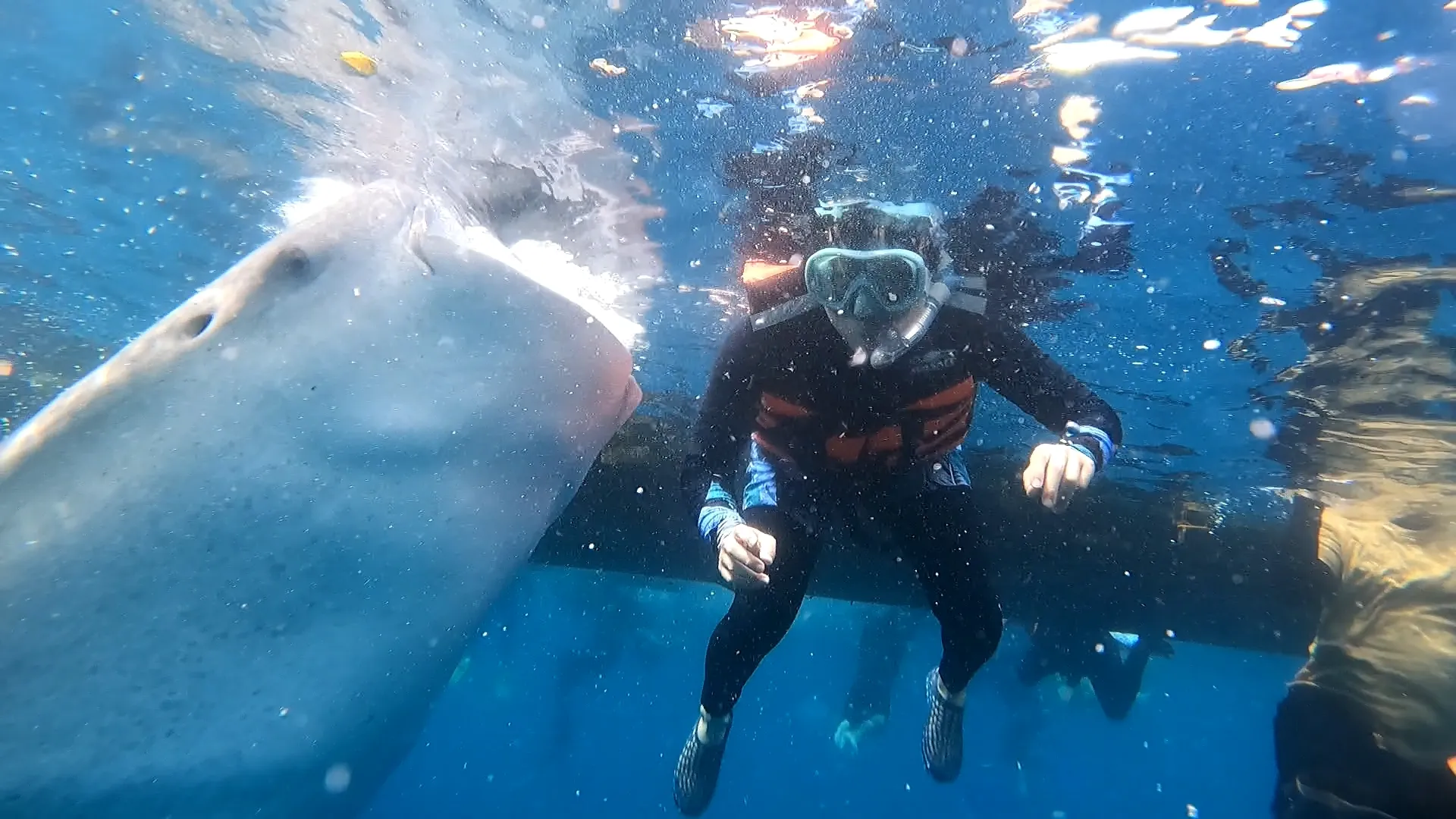 オフの過ごし方