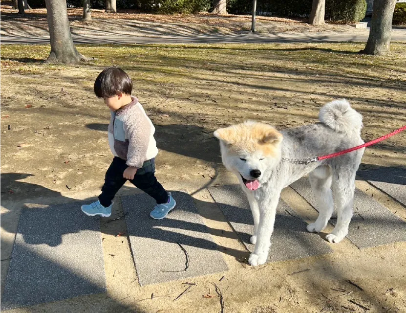 公園で子供と犬